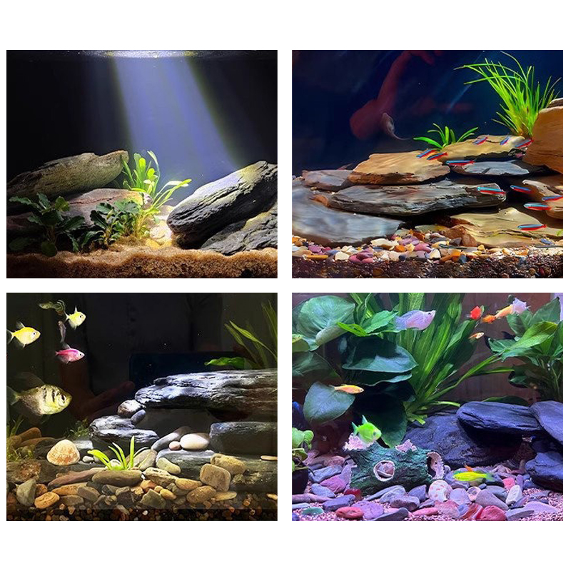 500/1000g Fish Tank Landscape  - Fish Aquarium Home review and price