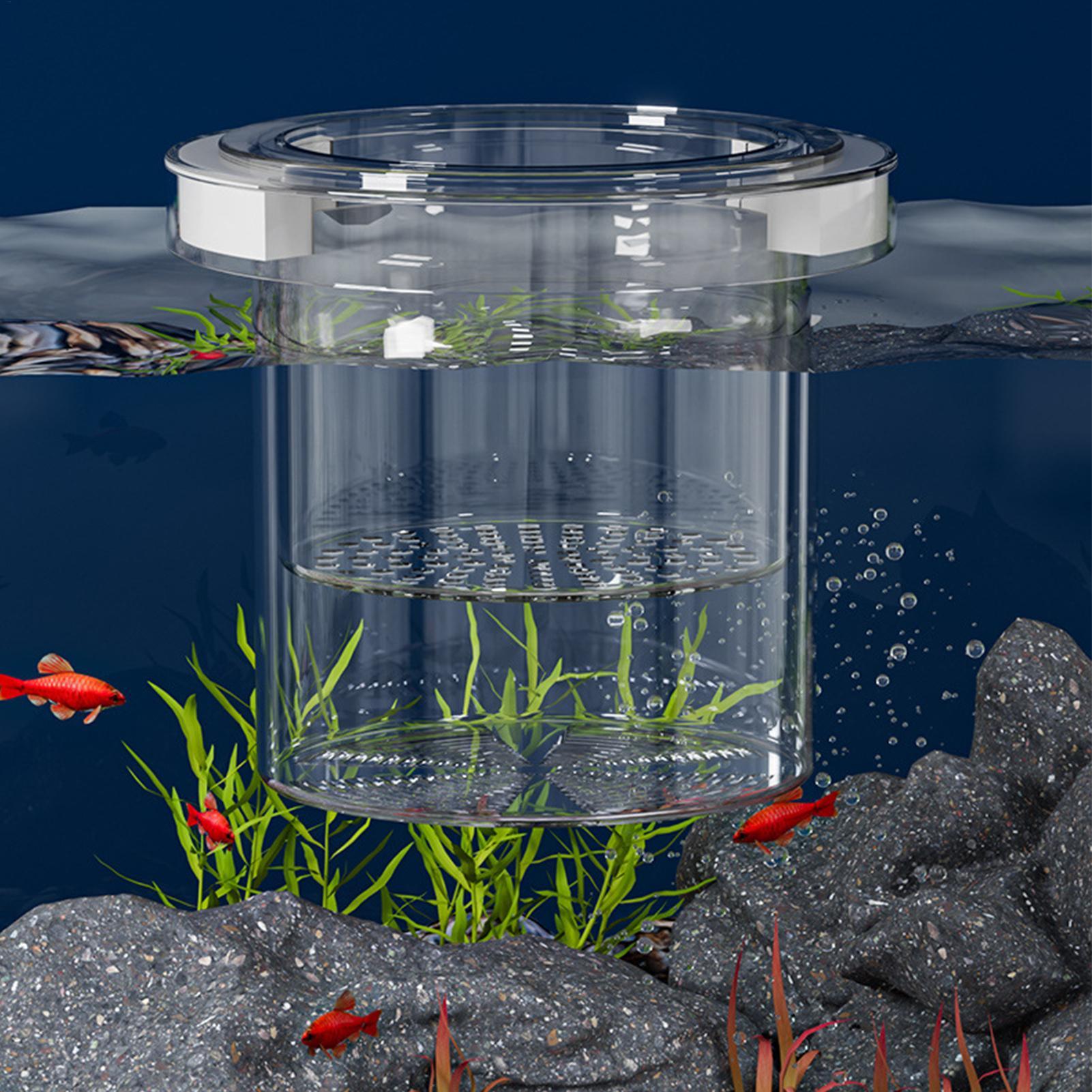 Floating Fish Breeding Isolati - Aquarium Fish Betta review and price