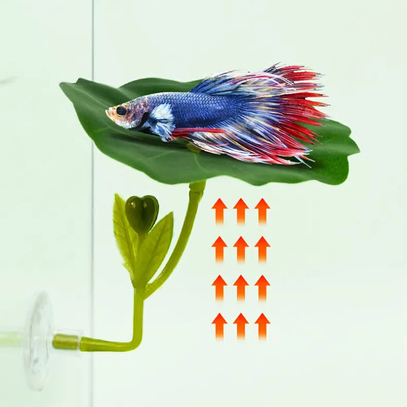 (Ce14)1/5PC Green Leaf Hammock - Aquarium Fish Betta review and price