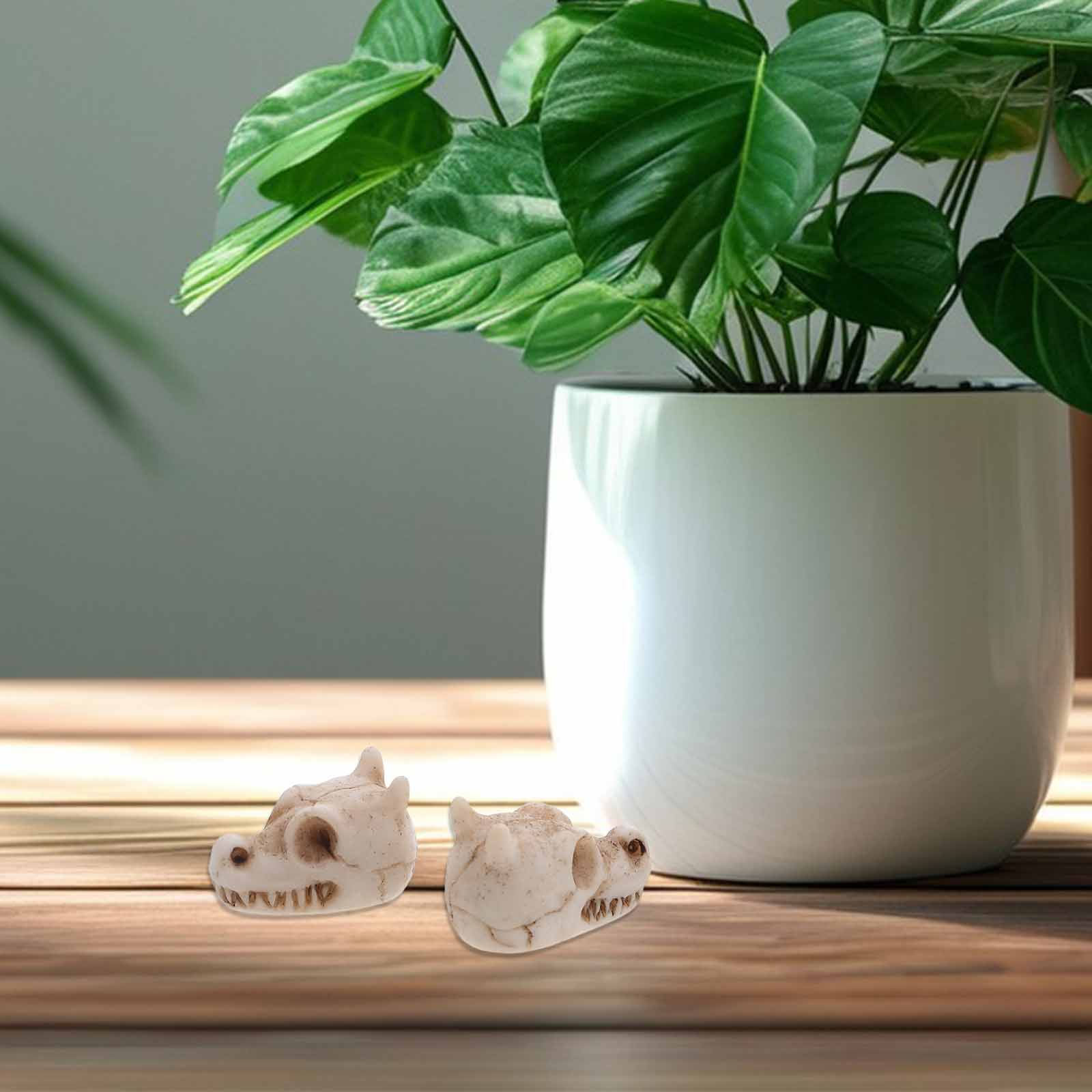 20pcs Mini Dragon Skull Resin  - Aquarium Decor review and price