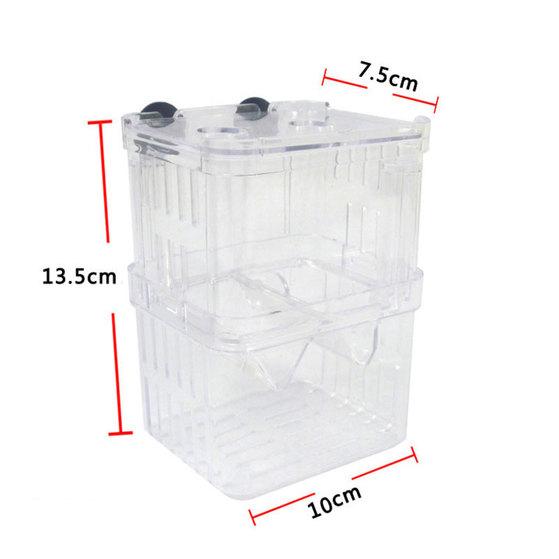 Peacock Fish Breeding Isolatio - Betta Fish Tank review and price