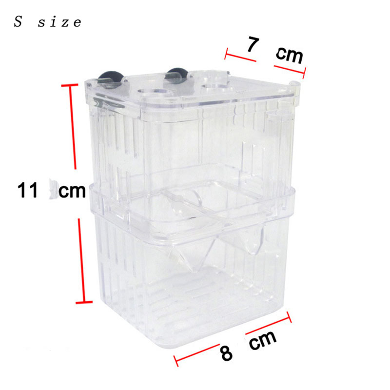 Peacock Fish Breeding Isolatio - Betta Fish Tank review and price